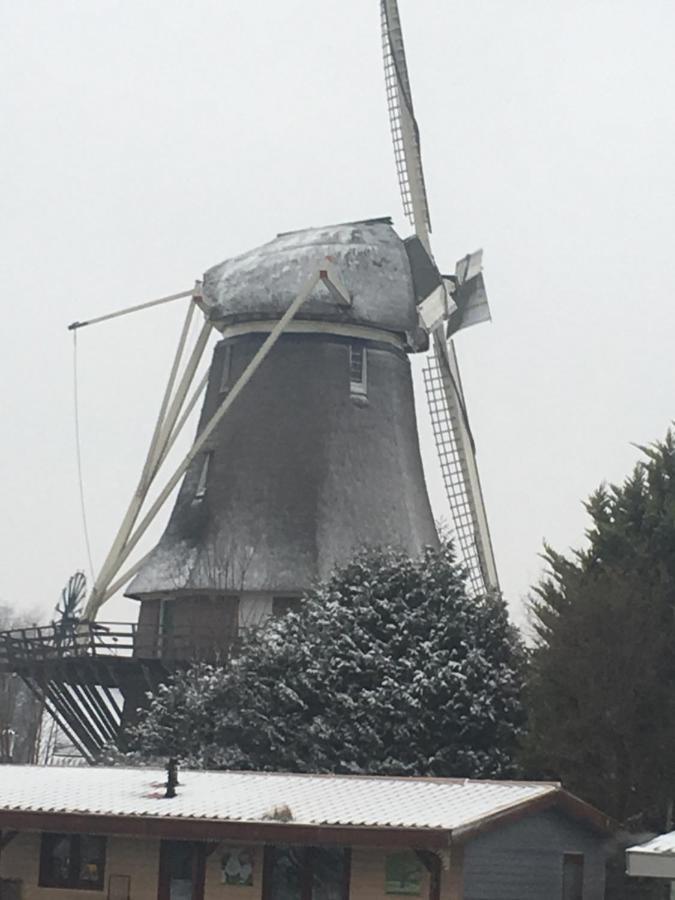 Gardenhouse Mariposa Villa Badhoevedorp Kültér fotó