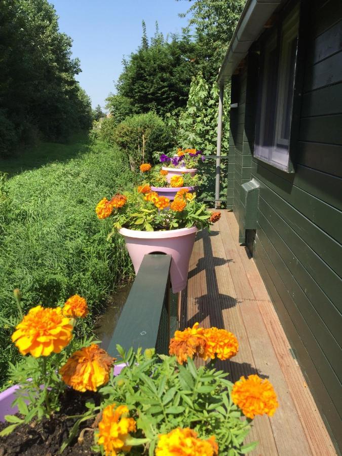 Gardenhouse Mariposa Villa Badhoevedorp Kültér fotó